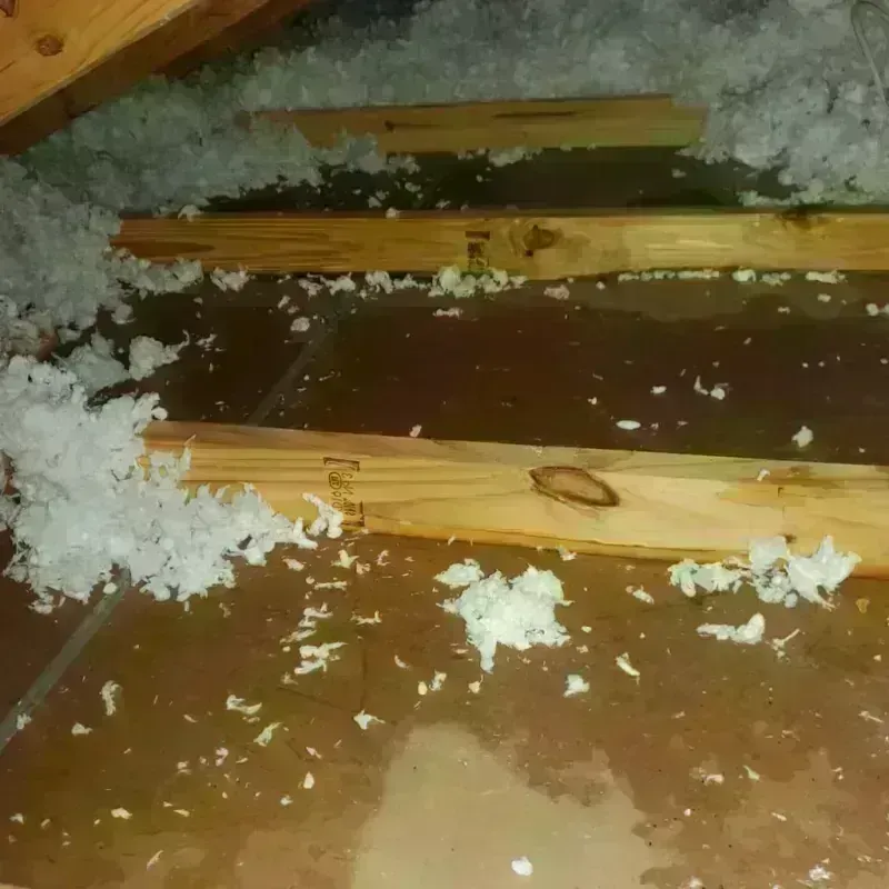 Attic Water Damage in Monongahela, PA